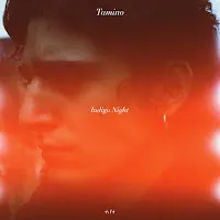 Tamino